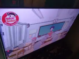 Xiaomi 43 inch SMART