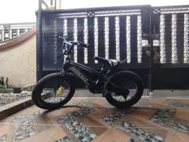 SEPEDA ANAK PHOENIX STAR