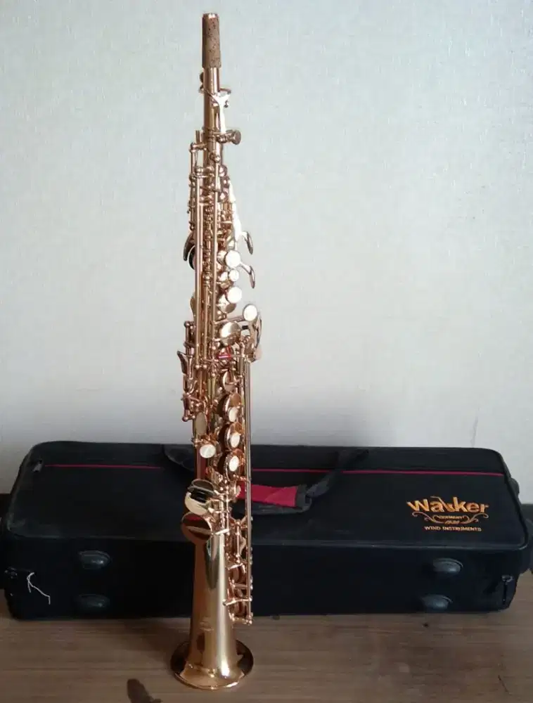 Saxophone WALKER WSS-800H (8126585)