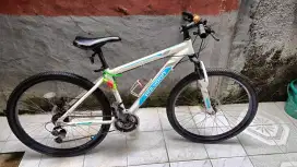 Jual Polygon Monarch
