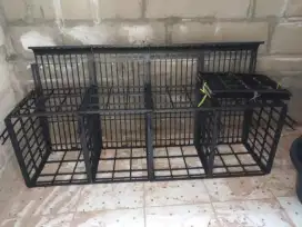 Kandang ayam petelur 4 pintu 4 sekat