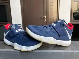 nike lebron ambassador 10