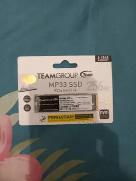 SSD m.2 nvme mp33 timegroup elite 256