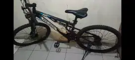 Sepeda Polygon Rayz 1