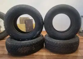 Ban Dunlop Grantrex R15