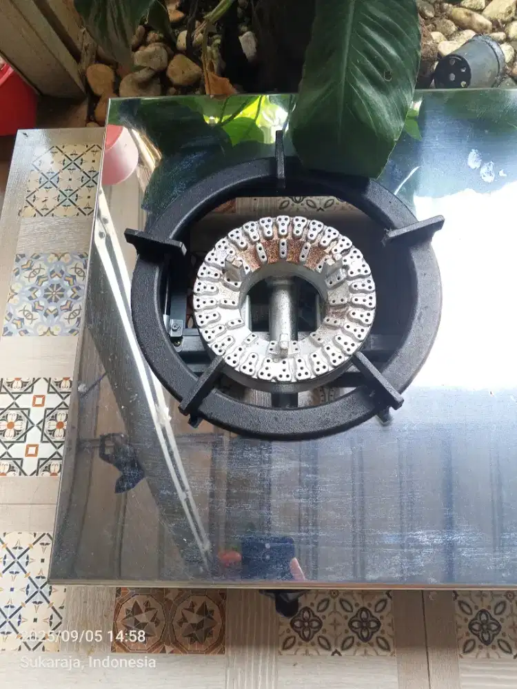 Rinnai RI-2RSPN