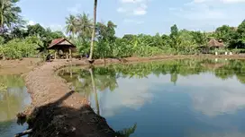 Dijual lahan kebun (berupa daratan dan kolam)