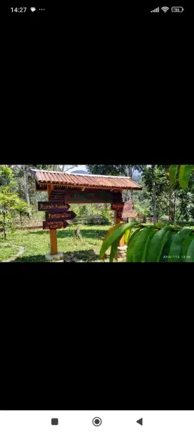 Kebun durian di area wisata
