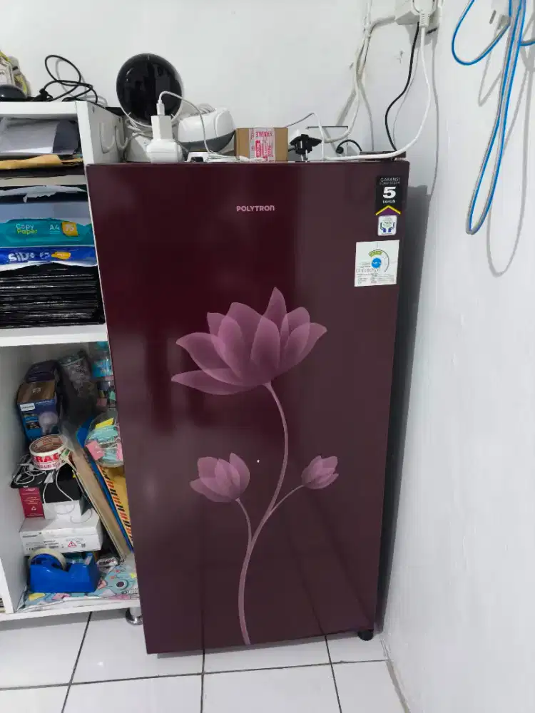 Kulkas Polytron 1 Pintu