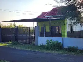Rumah tenang dgn halaman luas