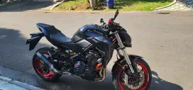 Kawasaki Z900 2019