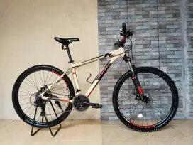 Polygon Cascade 3