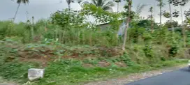 Tanah hook poros sidomulyo jabung malang