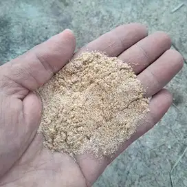 Jual pasir laut putih dan batu karang besar