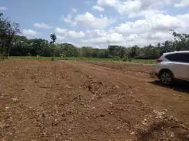 Tanah Sleman Dijual Murah, LD 10 Meter, SHM