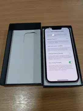 iPhone 13 pro graphite 256gb second