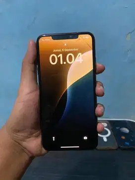 Iphone XS MAX 256GB