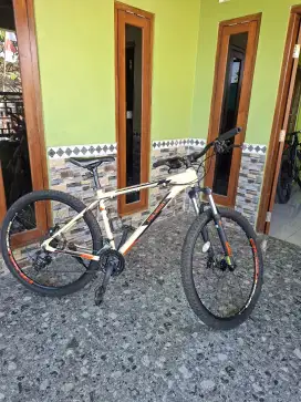 Polygon cascade 3 ring 27,5