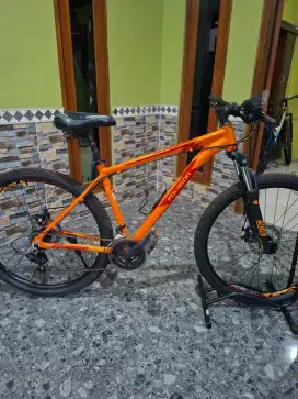 Polygon casceda 2 ring 27,5