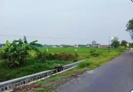 Tanah murah luas 1270m tepi jalan desa Pucangan Kartasura