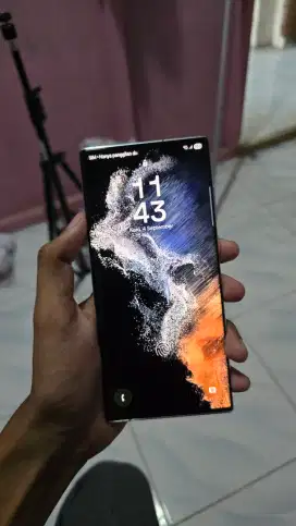 SAMSUNG S22 ULTRA 12/256