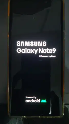 Samsung note 9 8/512Gb