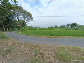 Tanah Villa View Sawah di Rejodani Palagan Sleman