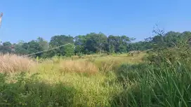 Kapling di Jonggol, Cikalong, Cirebon