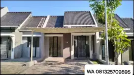 Sewa Rumah Baru CitraGrand Nego
