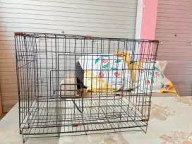 Kandang kucing harga 300rb nego dikit