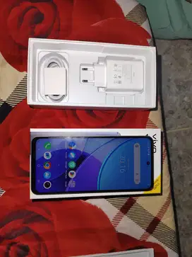 Vivo Y19s 4/128