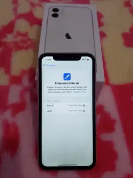 Iphone 11 64gb inter WIFI ONLY