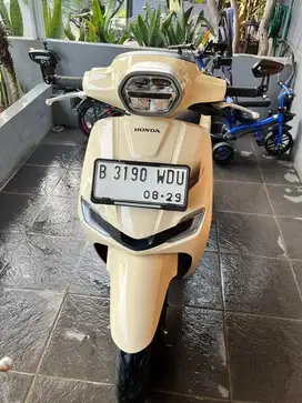 Stylo 2024 mulus
