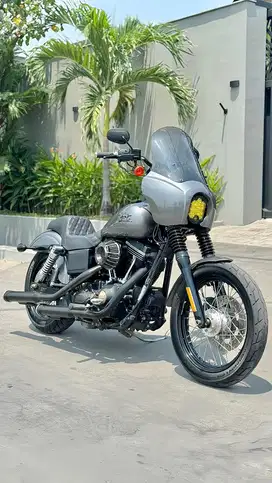 Dyna streetbob 2016,roadking,sportster