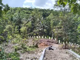 TANAH bagus buat cafe dan rumah produksi