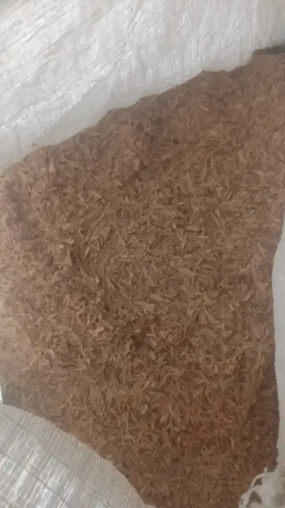 Sekam padi (kulit padi)