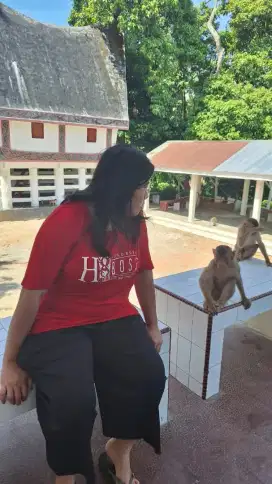 Dibutuhkan guru less(bisa part time dan harian)