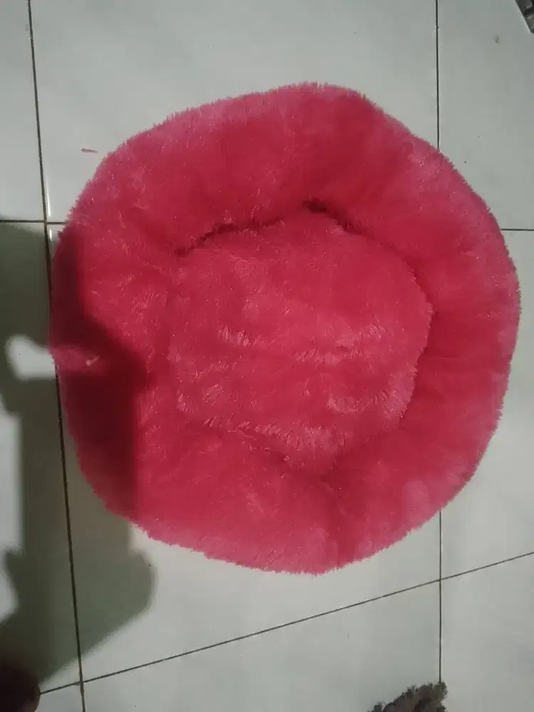 Kasur Tempat tidur Kucing anjing hewan peliharaan Jumbo perum karawaci