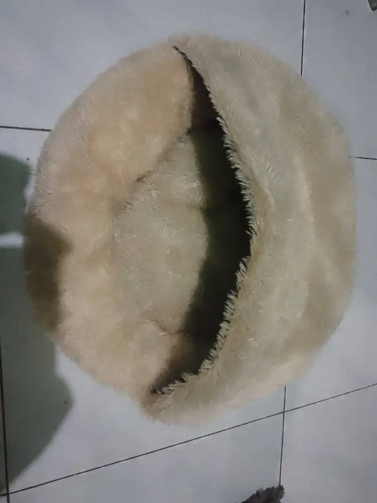 Kasur bertopi kucing Anjing Hewan peliharaan Jumbo lokasi prm karawaci