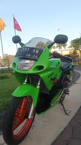 NINJA RR OLD GEM 3 2010