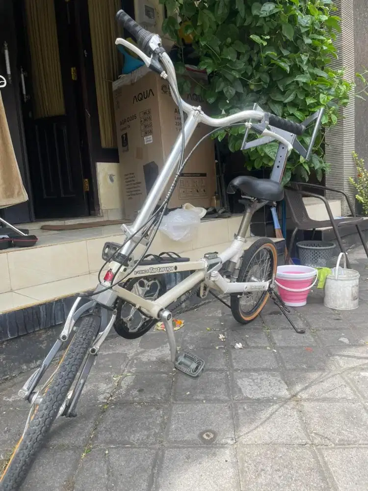 Jual Tartaruga Type Folding