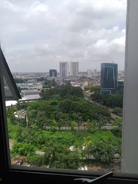 Disewakan studio plus apartemen great Western Resort GWR Tangerang
