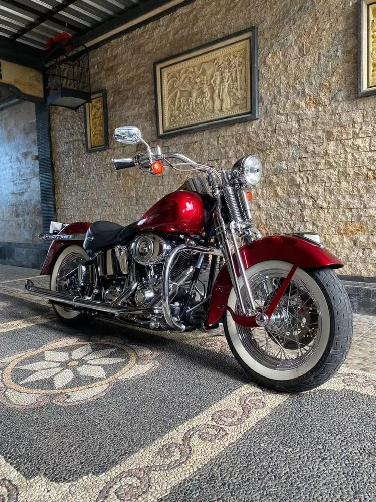 Harley Davidson Springer 2007 Injection