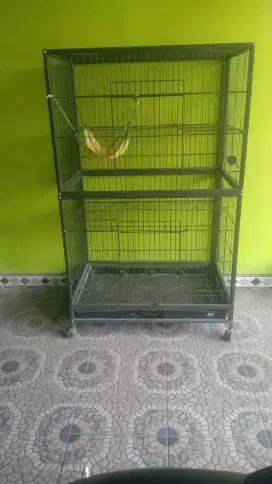 Kadang kucing istimrwa