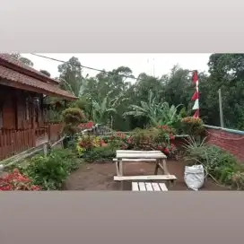 Penginapan aktip