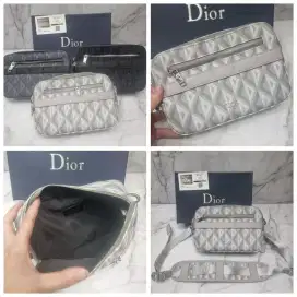Clutch dior safari pouch