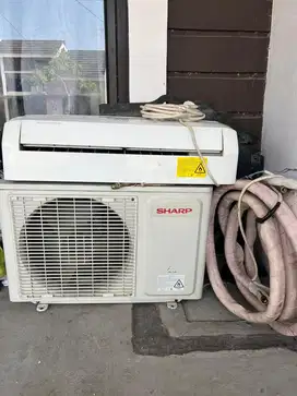 Ac sharp 1/2 PK