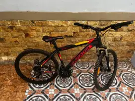 DIJUAL CEPAT!! Sepeda AVIATOR
