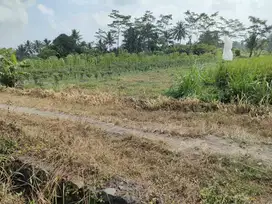 jual cepat tanah luas 557m2 dibarat jl palagan km 15 view sawah