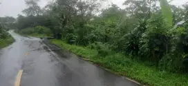 Tanah 9 hektar di jalan raya cipanas-bogor kabupaten lebak
